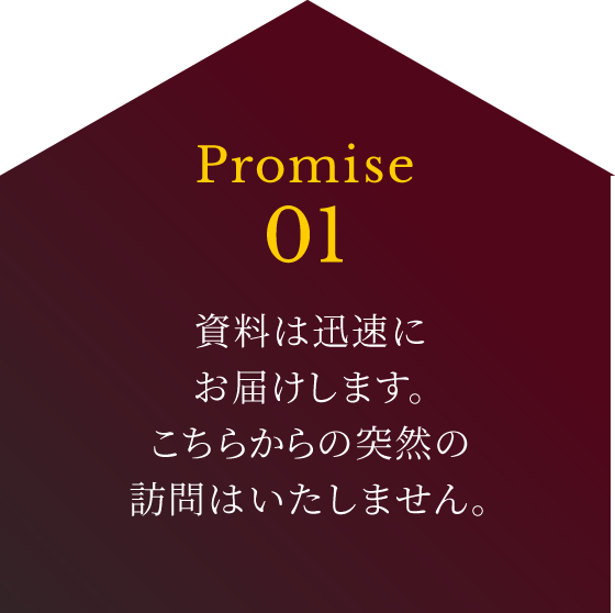 Promise01