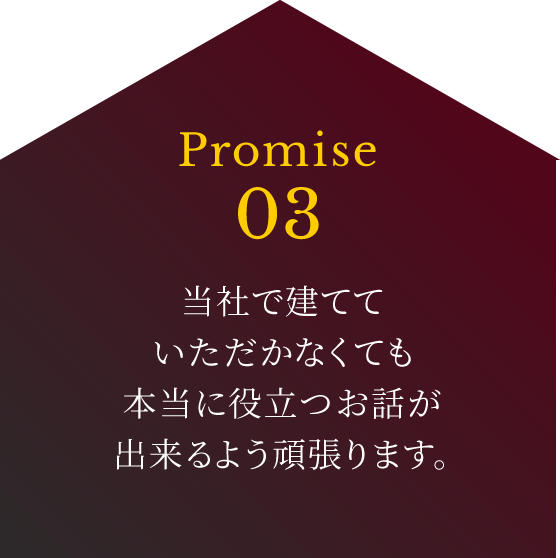 Promise03